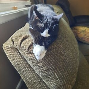 Meet your Posher, Cristin